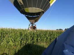 IMG_20170813_080437